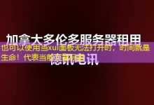 当xui面板无法打开时，时间就是生命！-香港服务器